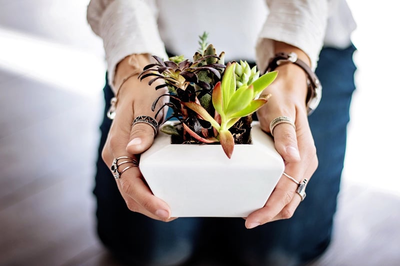 Glass Jar Planters